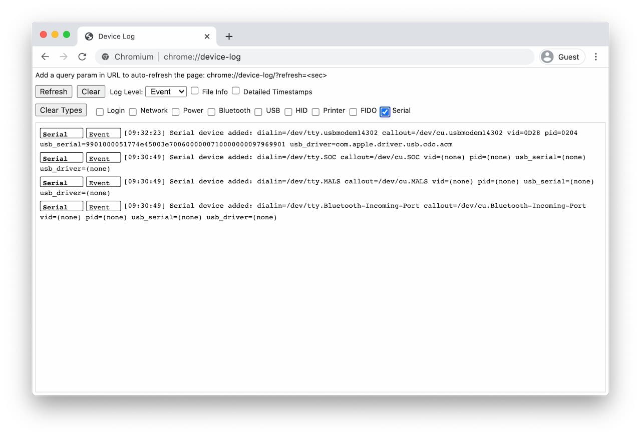 Web Serial API のデバッグ用内部ページのスクリーンショット。